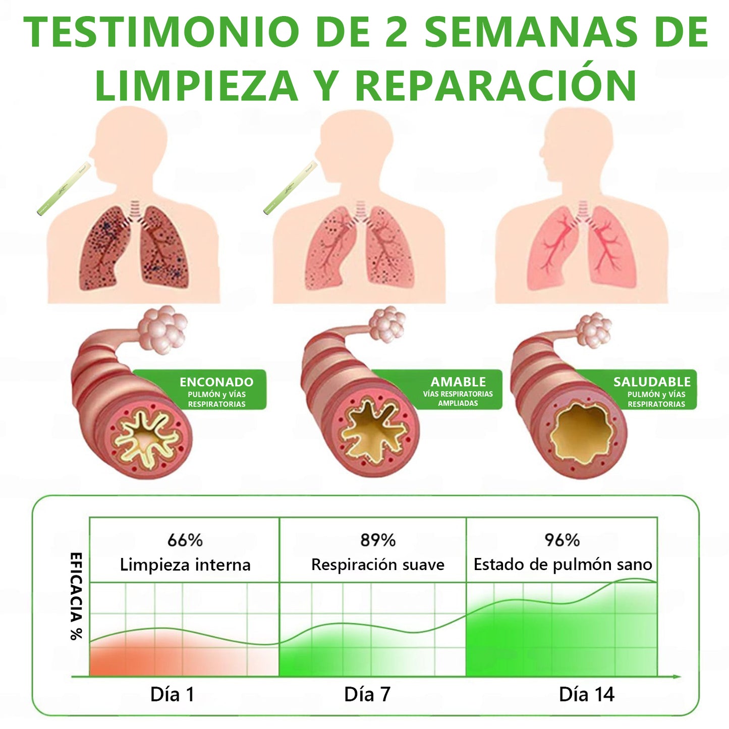 𝐓𝐢𝐞𝐧𝐝𝐚 𝐨𝐟𝐢𝐜𝐢𝐚𝐥 ✨𝐌𝐮𝐫𝑤𝗈𝒏® Difusor Botánico de Mullein para Limpieza de Pulmones (🫁 Tos, faringitis, dificultad para respirar, flema, congestión nasal, bronquitis, síntomas alérgicos, malestar pulmonar)3🎁