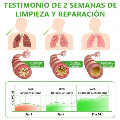 𝐓𝐢𝐞𝐧𝐝𝐚 𝐨𝐟𝐢𝐜𝐢𝐚𝐥 ✨𝐌𝐮𝐫𝑤𝗈𝒏® Difusor Botánico de Mullein para Limpieza de Pulmones (🫁 Tos, faringitis, dificultad para respirar, flema, congestión nasal, bronquitis, síntomas alérgicos, malestar pulmonar)3🎁